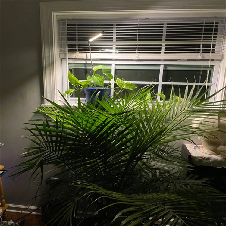 Adjustable Full-Spectrum Grow Light