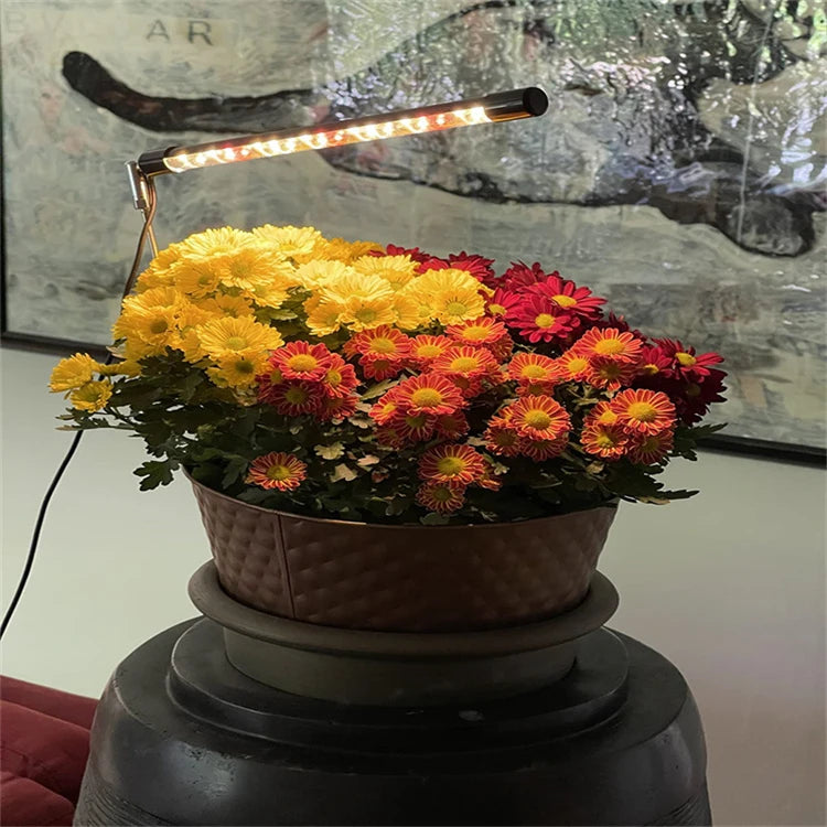 Adjustable Full-Spectrum Grow Light