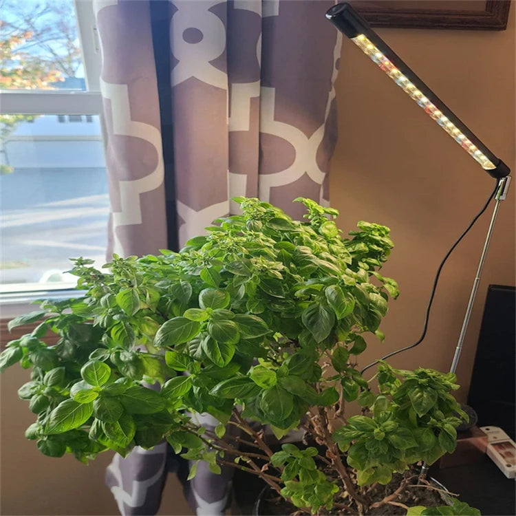 Adjustable Full-Spectrum Grow Light