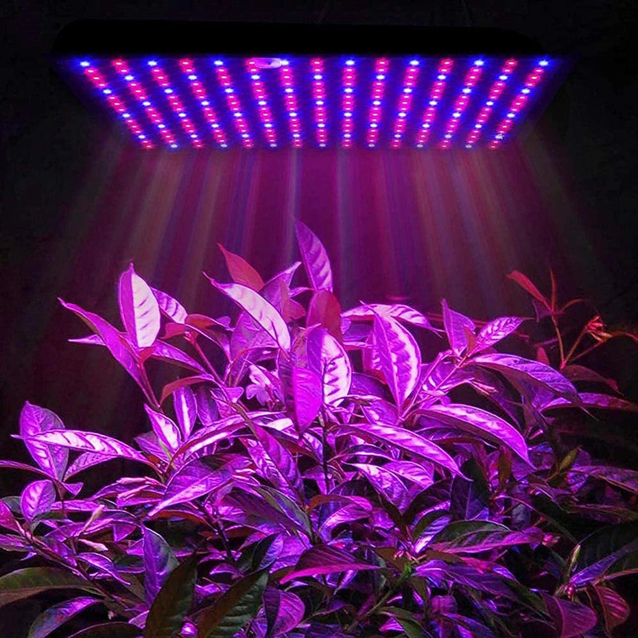 1000W Full-Spectrum Grow Light