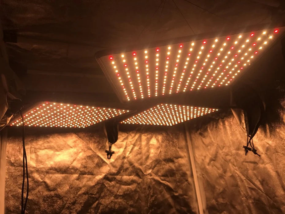 1000W Full-Spectrum Grow Light