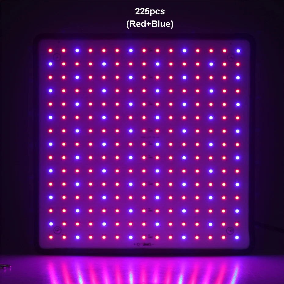 1000W Full-Spectrum Grow Light