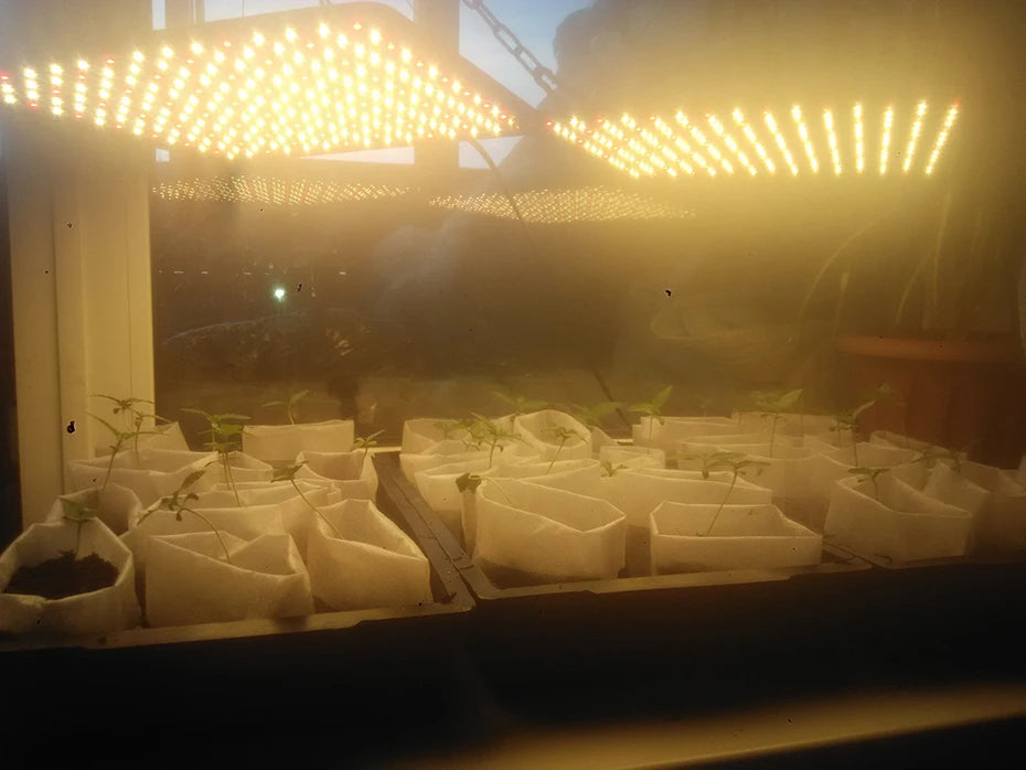 1000W Full-Spectrum Grow Light