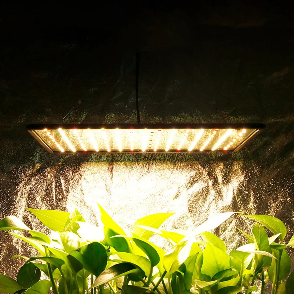 1000W Full-Spectrum Grow Light