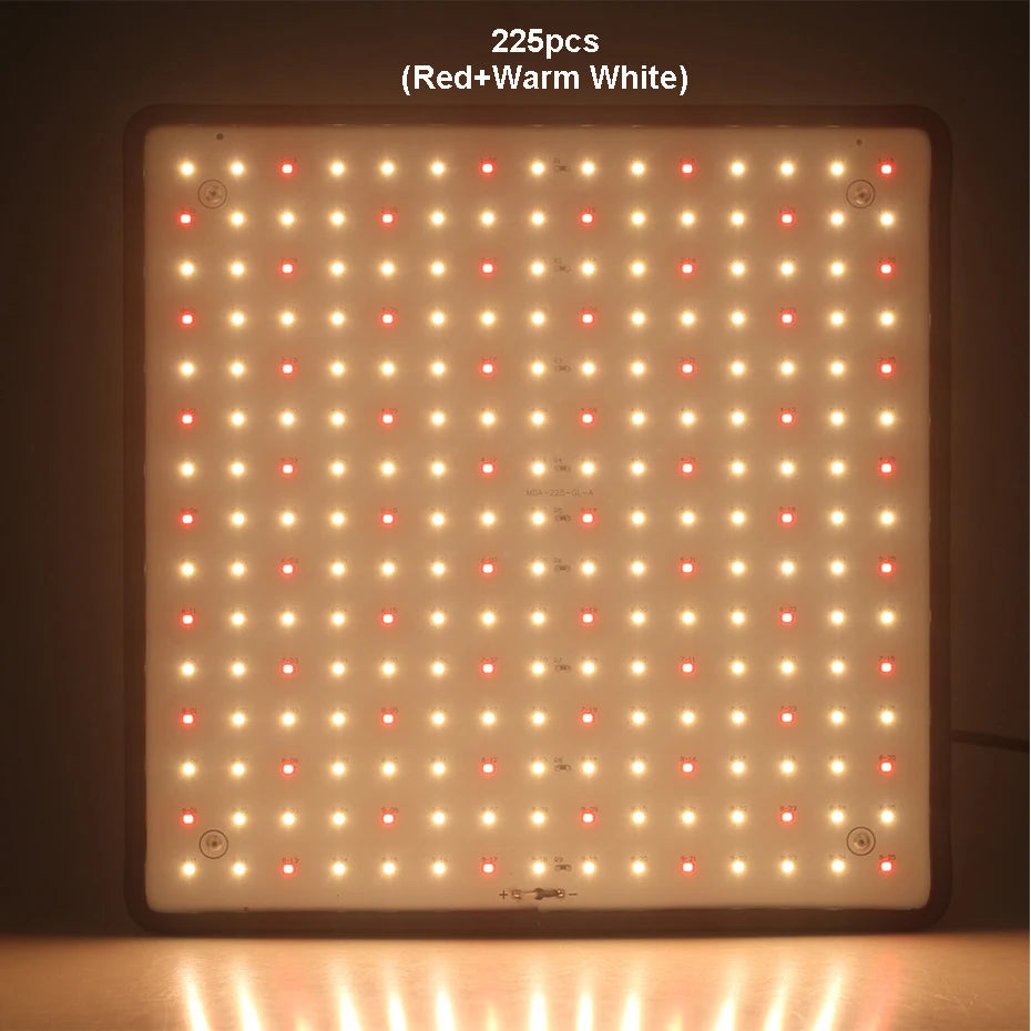 1000W Full-Spectrum Grow Light