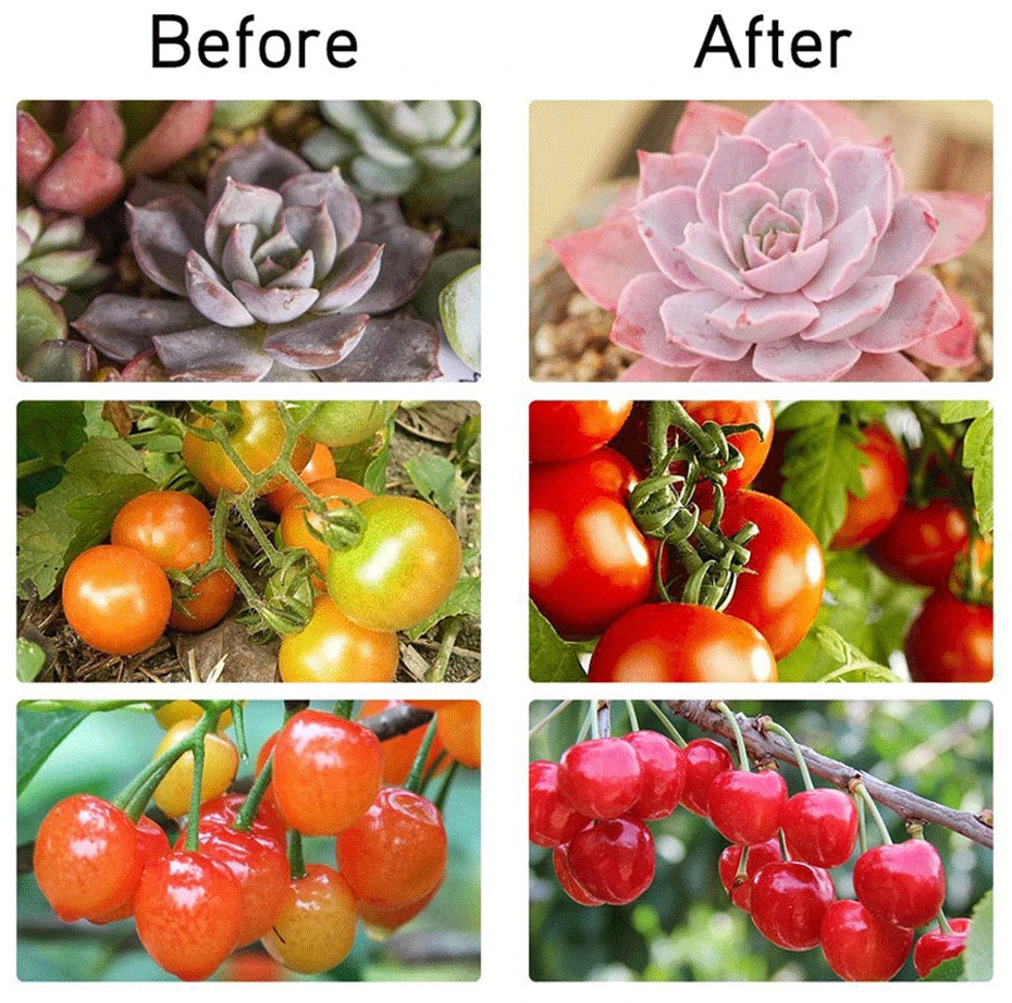 1000W Full-Spectrum Grow Light