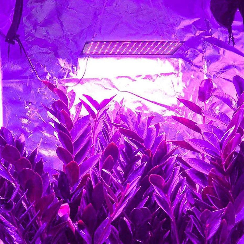 1000W Full-Spectrum Grow Light