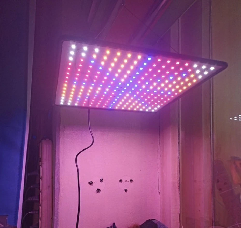 1000W Full-Spectrum Grow Light