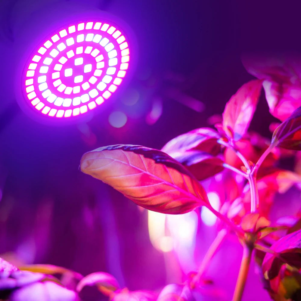 Full-Spectrum LED Grow Bulb