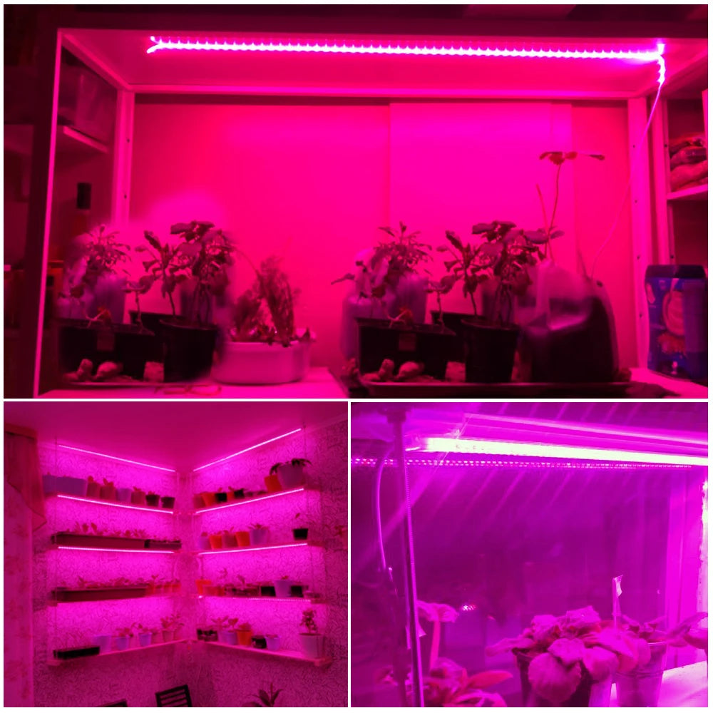 Full-Spectrum Grow Light Strips