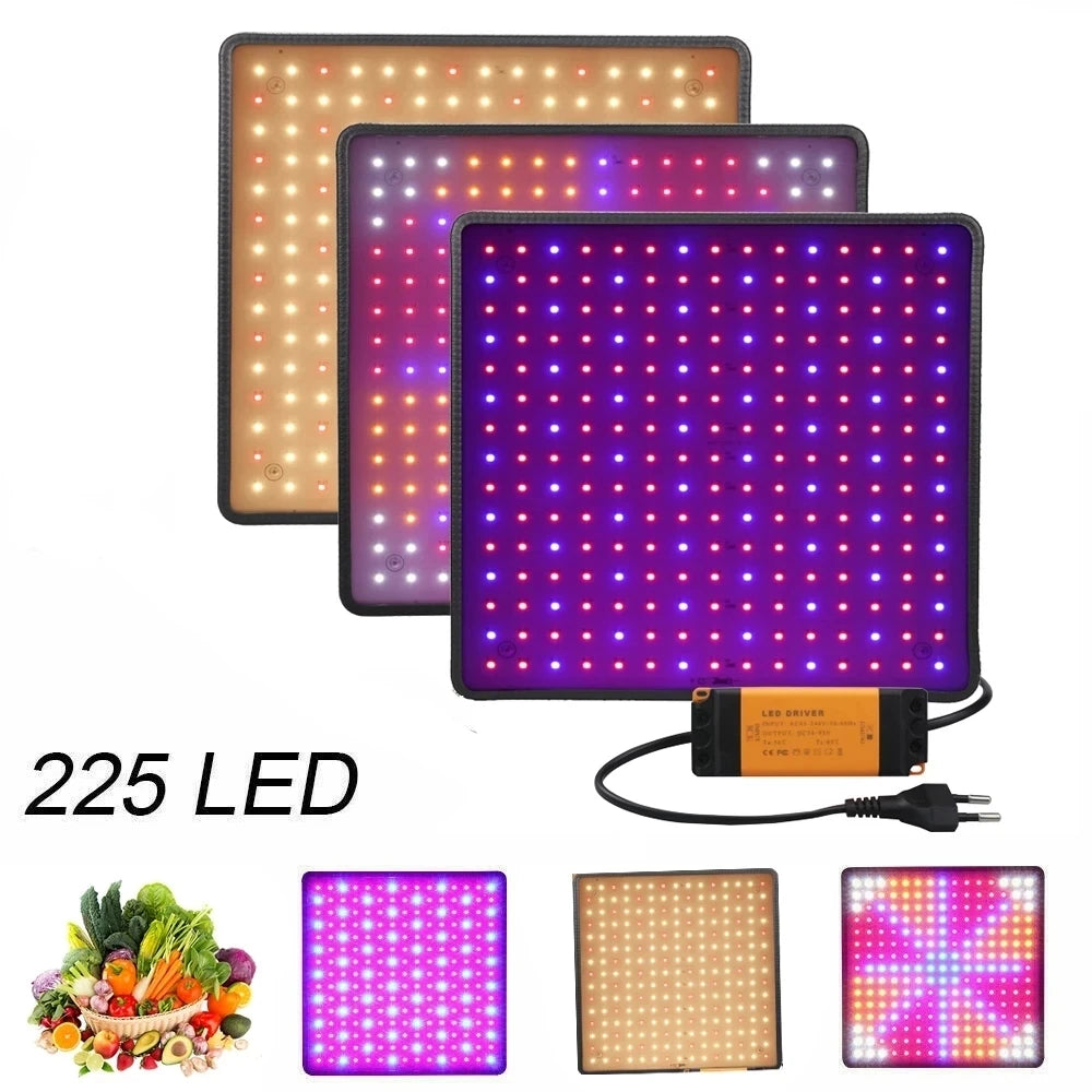 1000W Full-Spectrum Grow Light