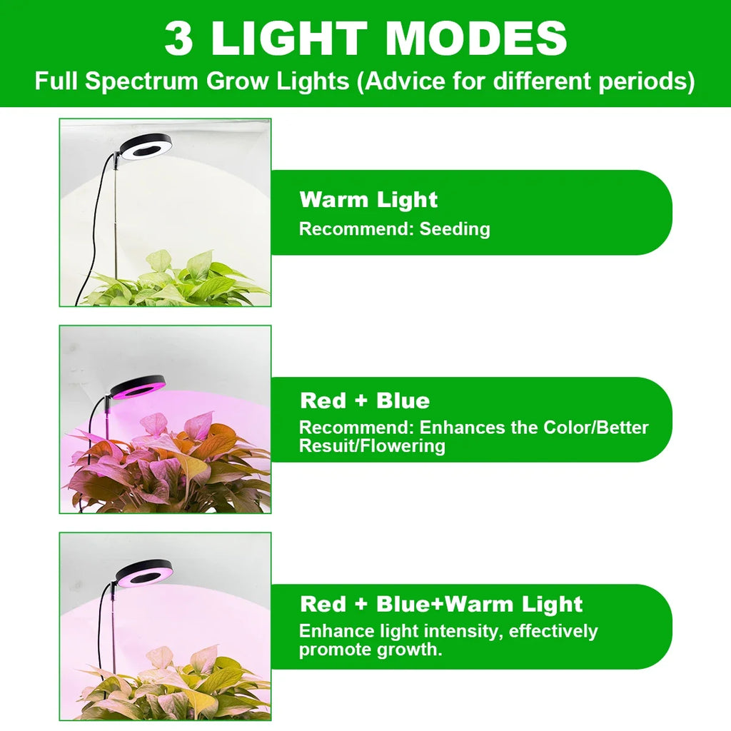 Adjustable Full-Spectrum Plant Light