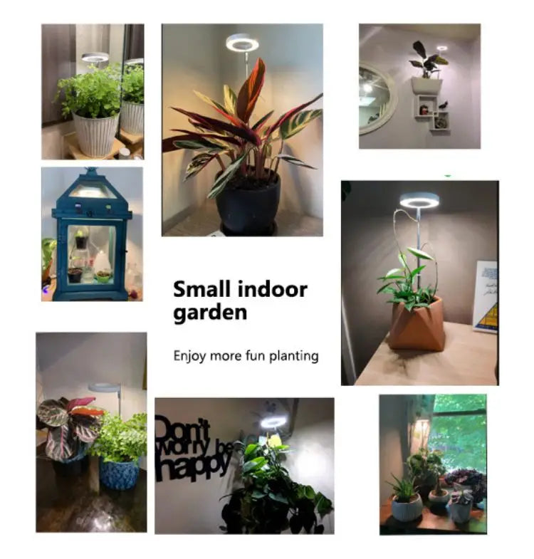 Angel Ring LED Grow Light