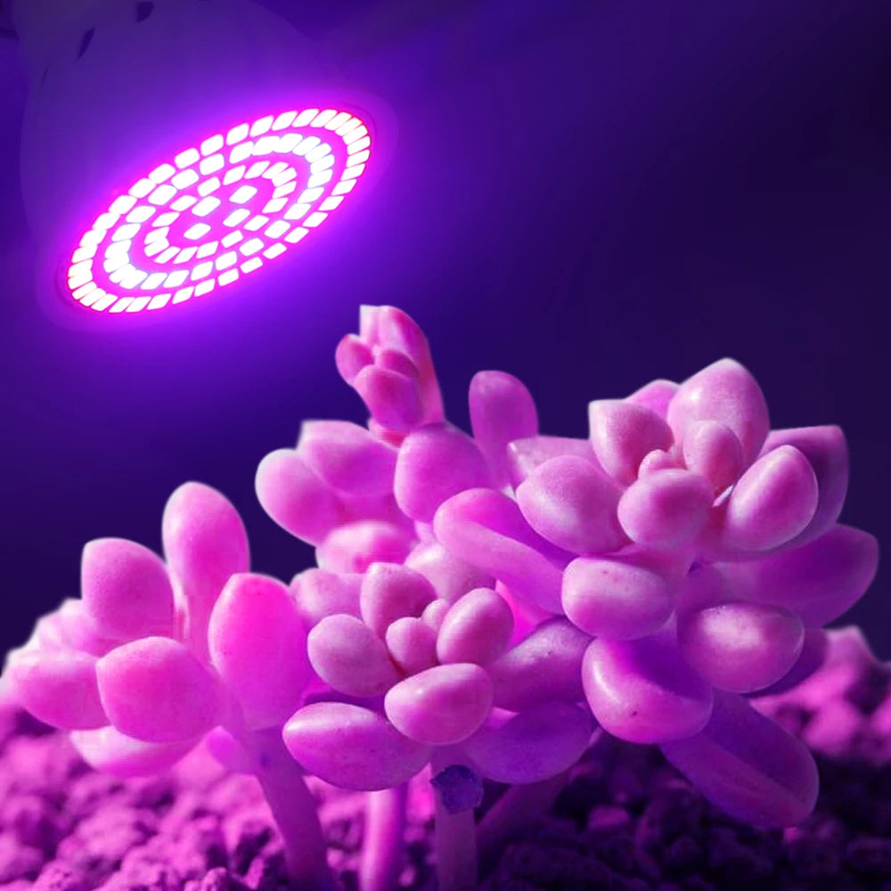 Full-Spectrum LED Grow Bulb