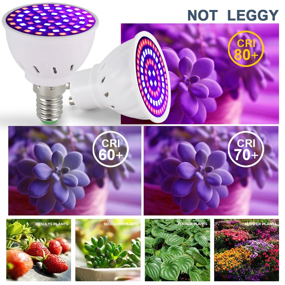 Full-Spectrum LED Grow Bulb