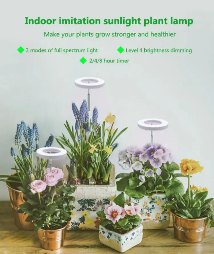Angel Ring LED Grow Light