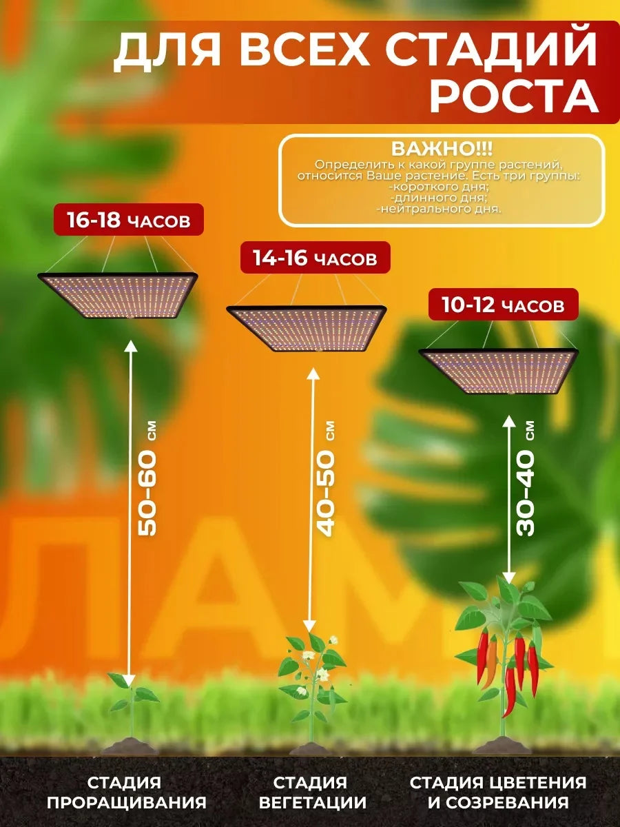 1000W Full-Spectrum Grow Light
