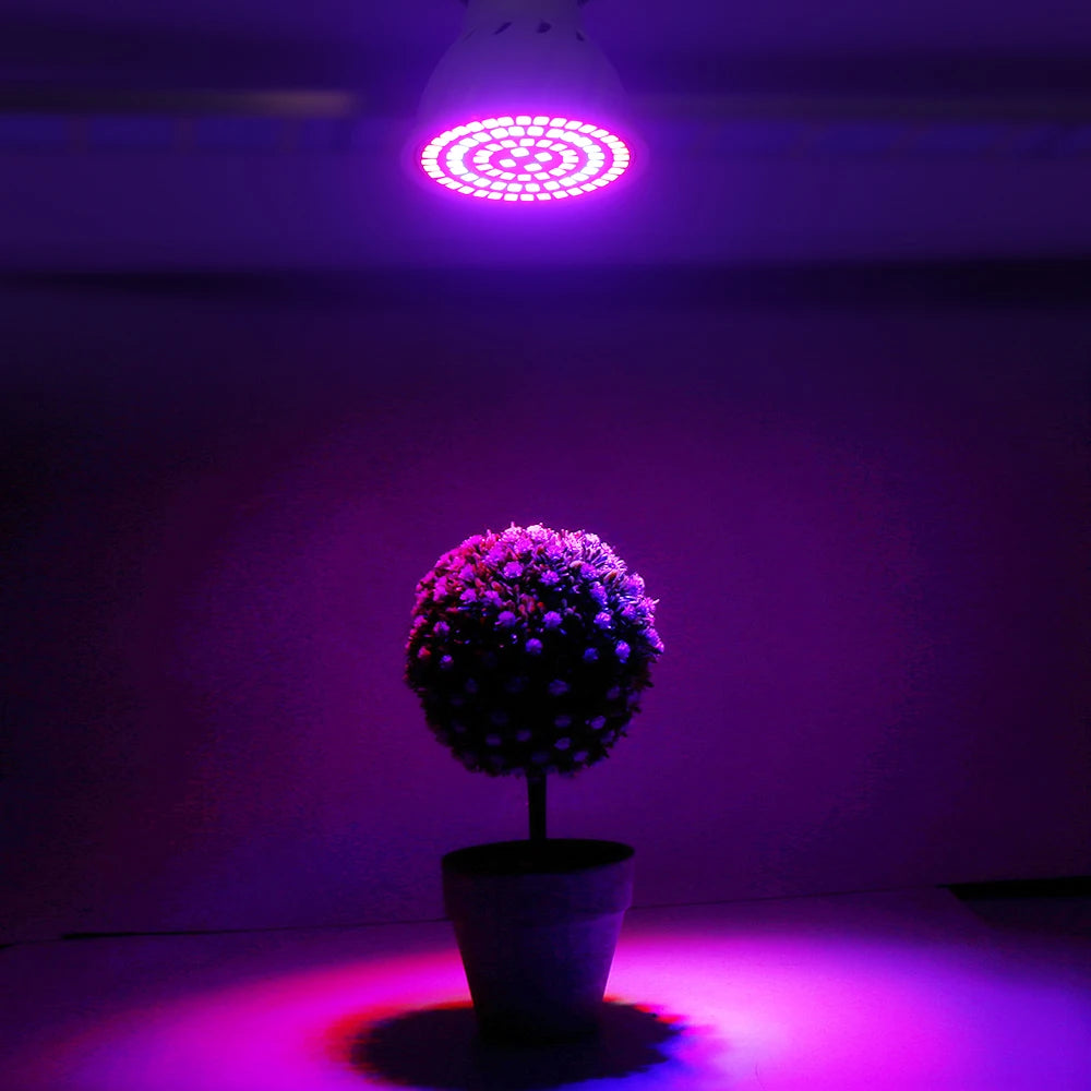 Full-Spectrum LED Grow Bulb
