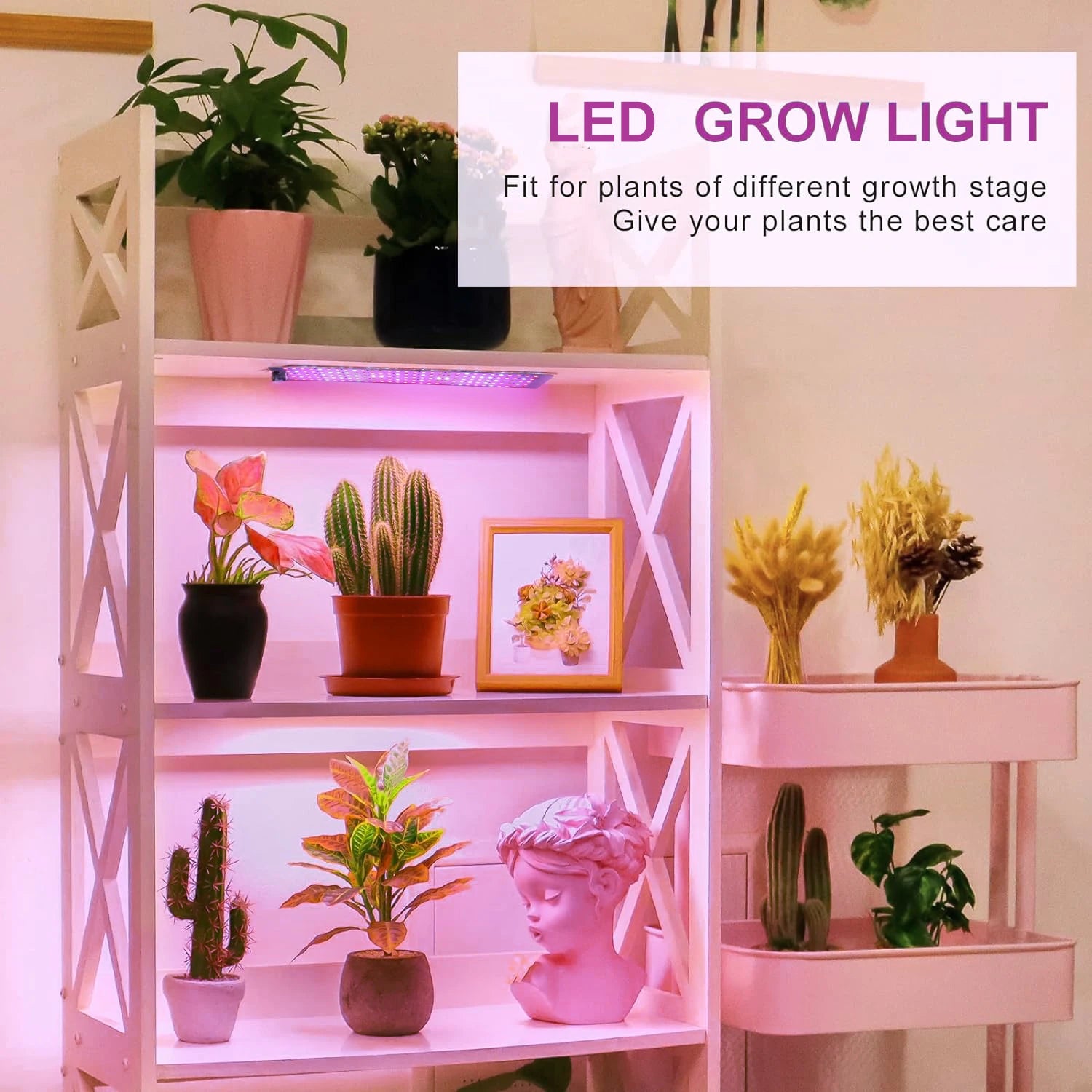 Full-Spectrum LED Grow Lamp