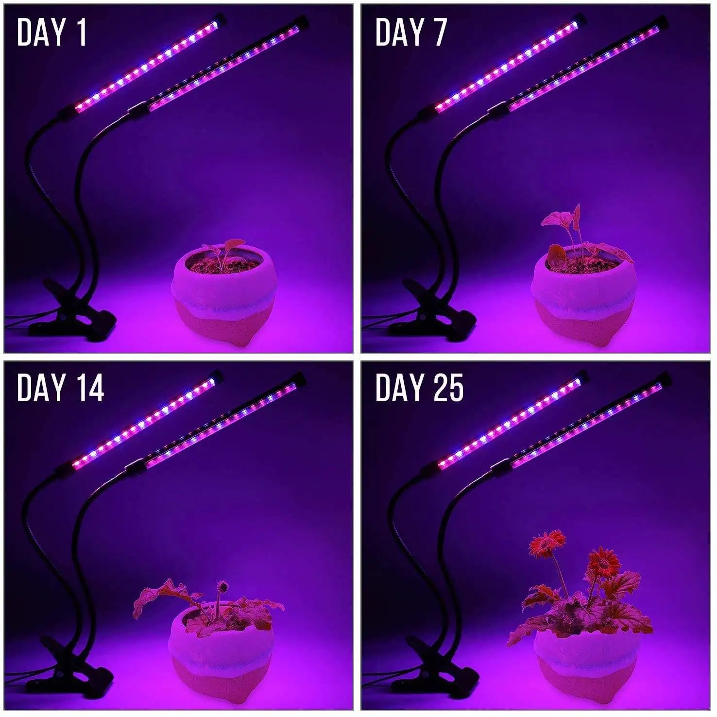 Full-Spectrum Grow Light