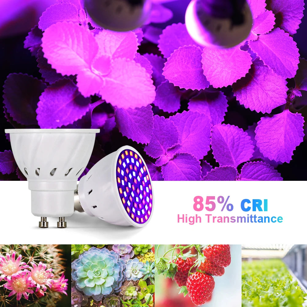 Full-Spectrum LED Grow Bulb