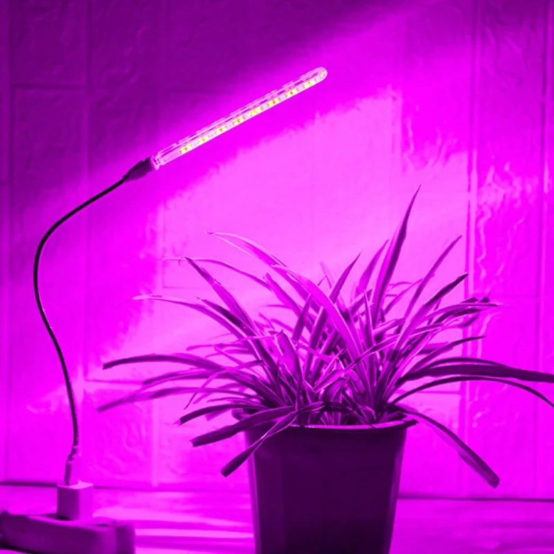 Full-Spectrum Grow Lamp